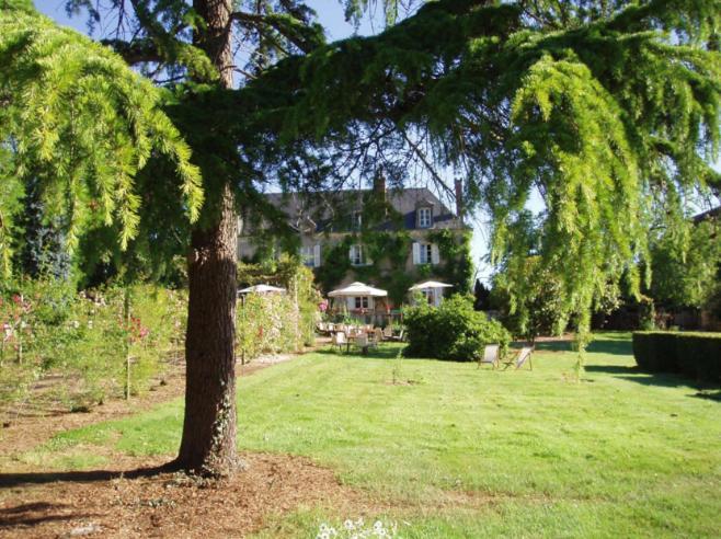 Domaine De Vilotte Bed and Breakfast Ardenais Eksteriør billede