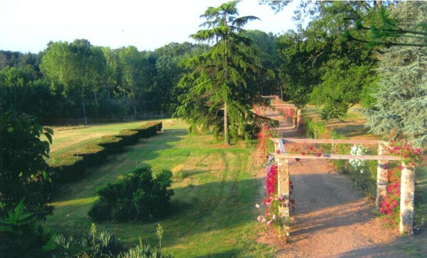 Domaine De Vilotte Bed and Breakfast Ardenais Eksteriør billede